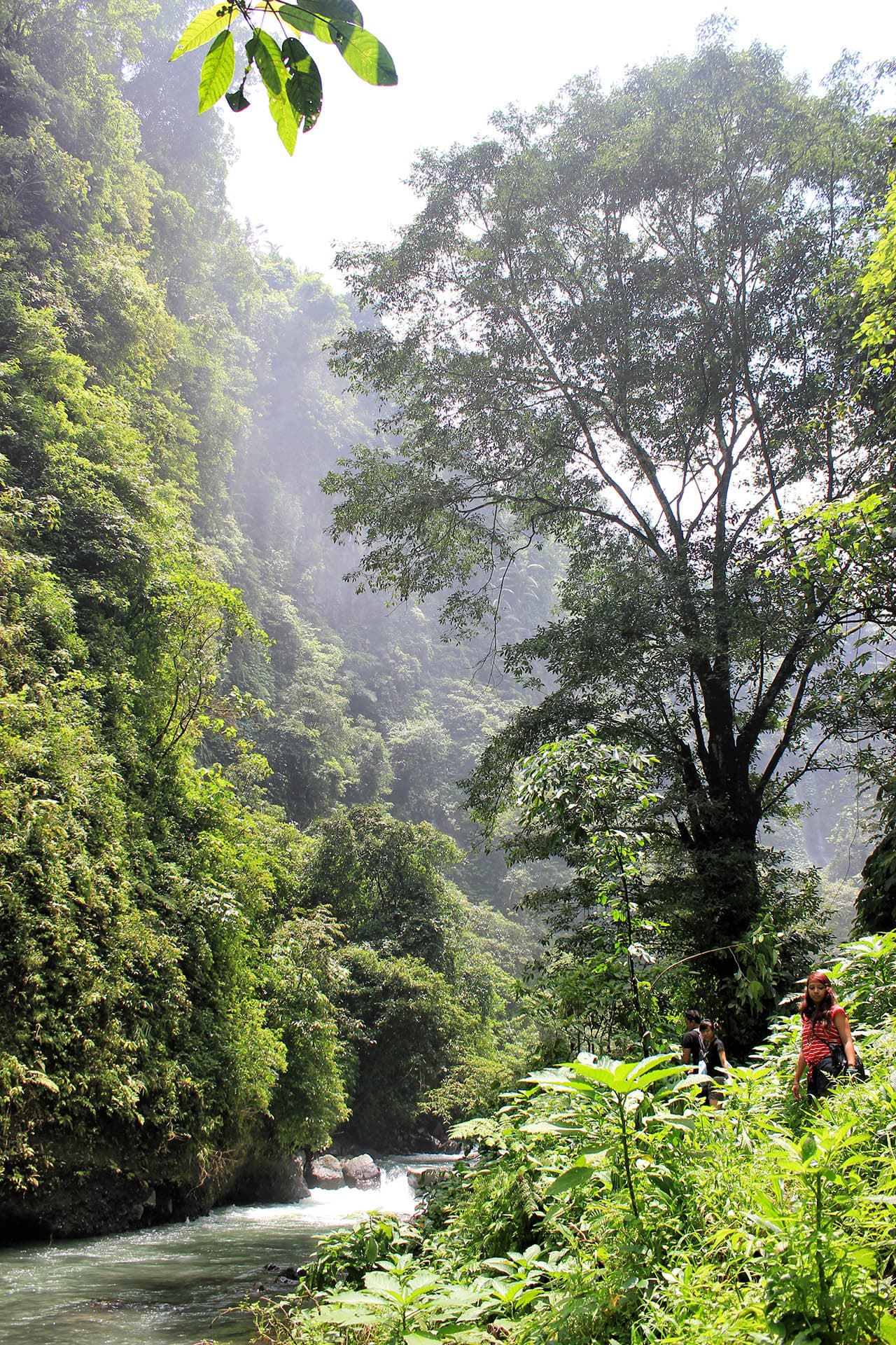Sekumpul-watervallen, Bali