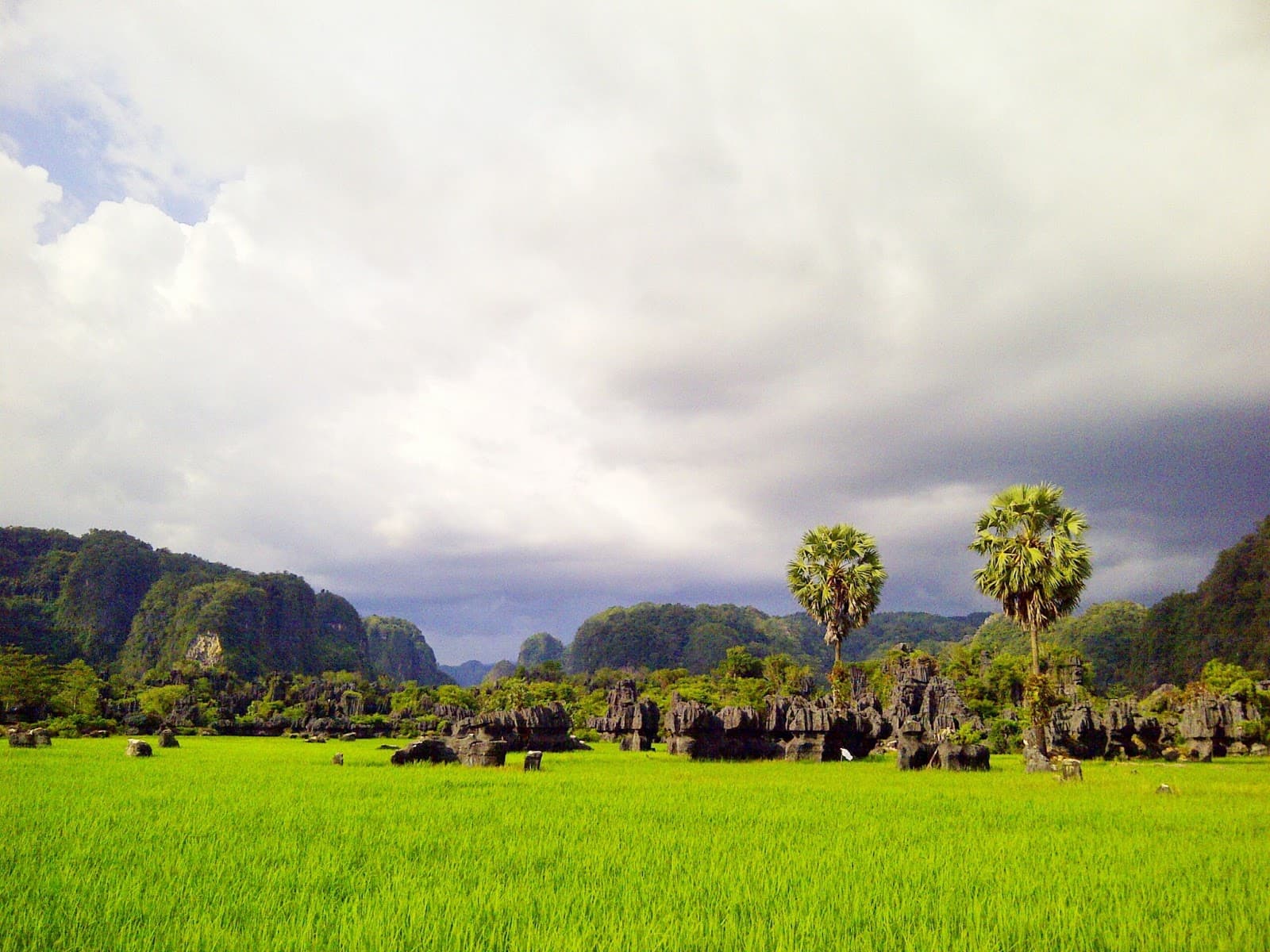 Rammang-Rammang, Sulawesi