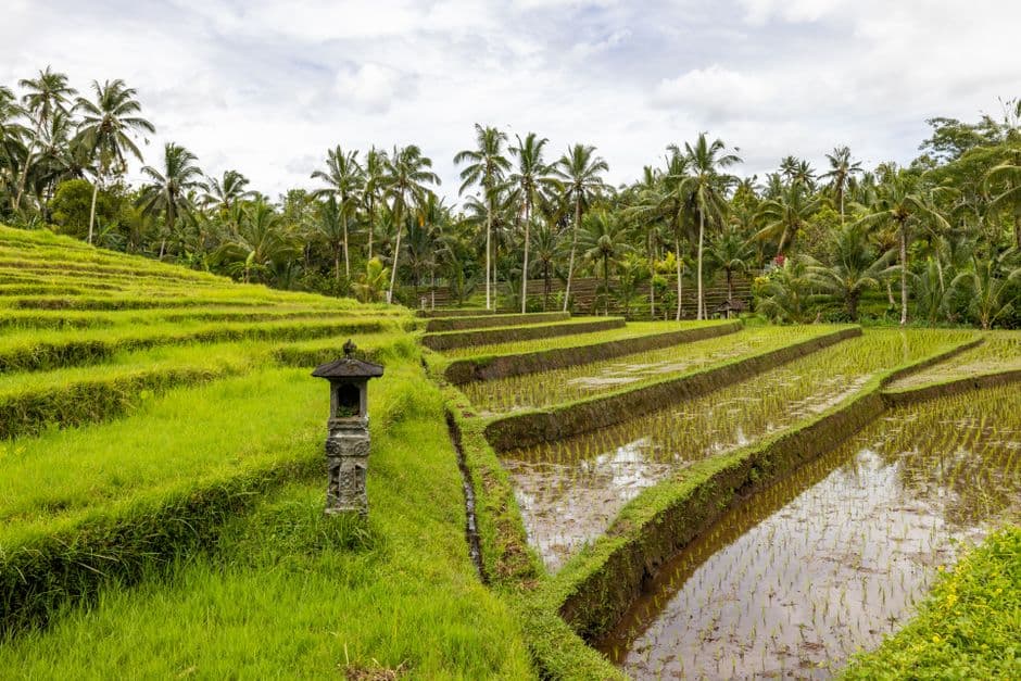 Ubud