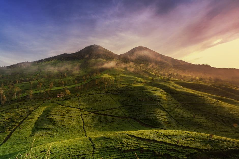 Bandung