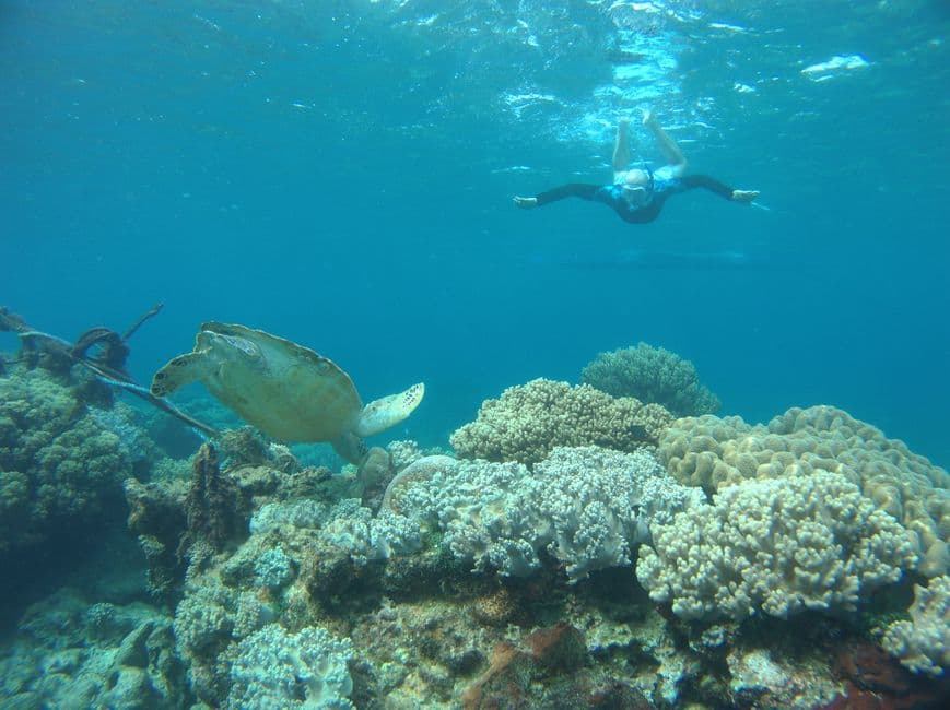 Snorkelen bij Gili Trawangan, Lombok