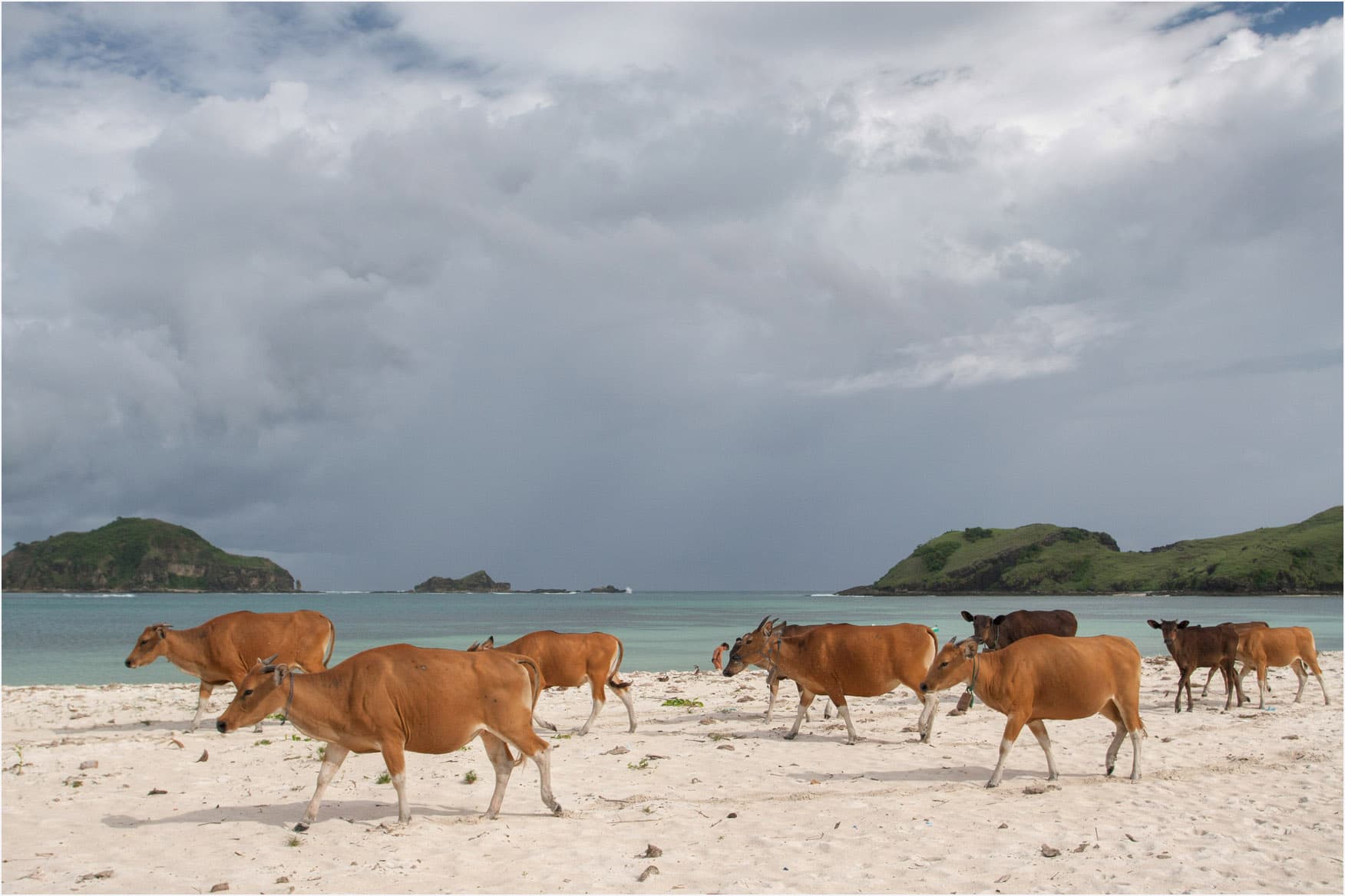 Tanjung Aan, Lombok