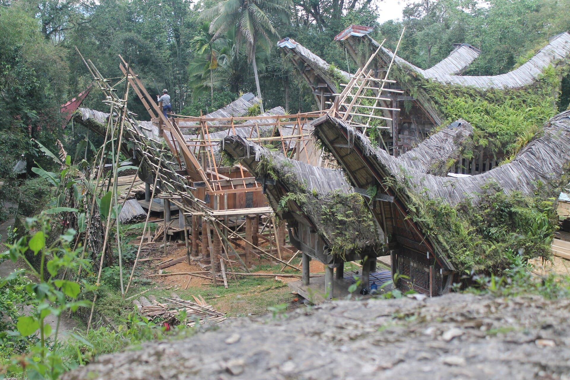 Tana Toraja: Indonesië's meest unieke cultuur