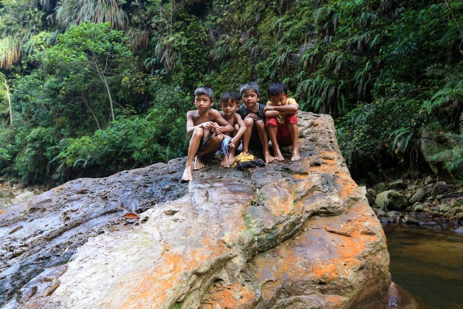 Bukit Lawang