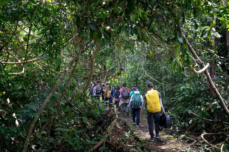 Jungle trekking, Sumatra