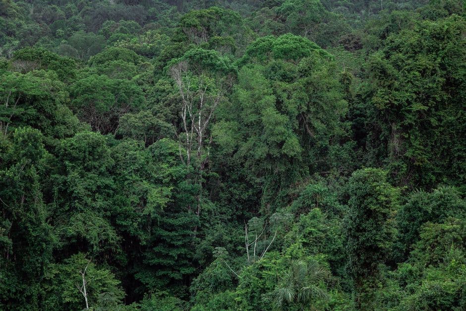 Sumatra